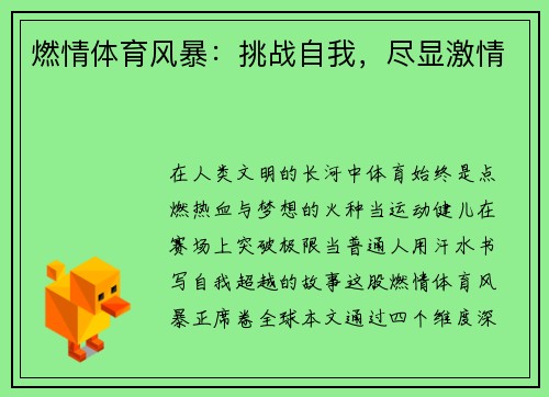 燃情体育风暴:挑战自我,尽显激情